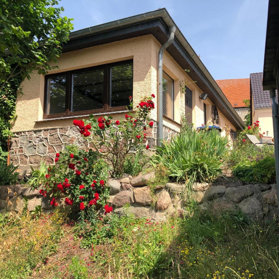 Ferien direkt am Wasser - B&B
