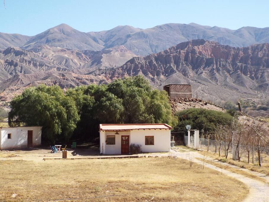 B&B Tilcara - El Sueñero - Bed and Breakfast Tilcara