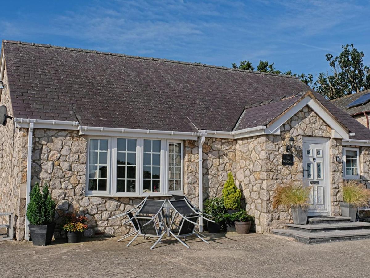 B&B Bodelwyddan - The Paddock - Bed and Breakfast Bodelwyddan