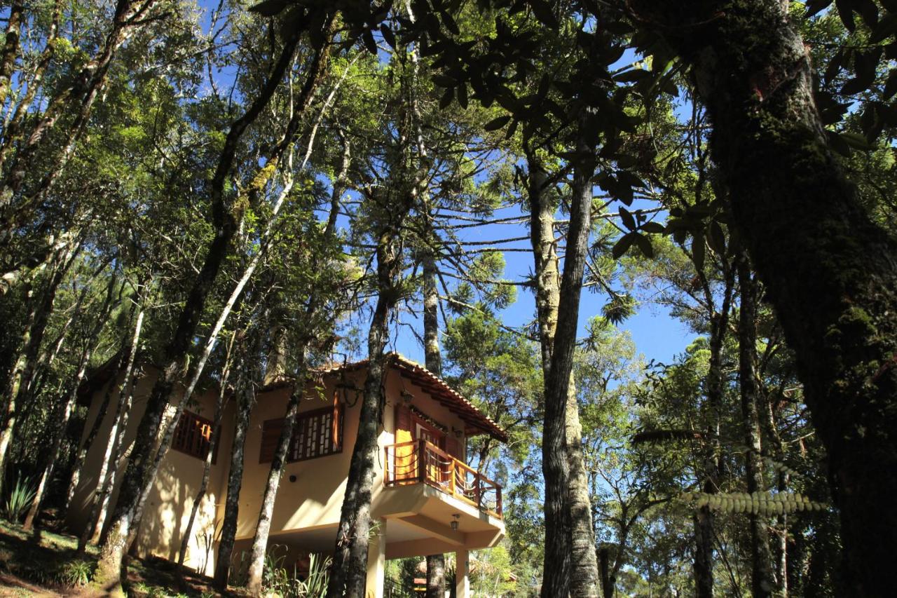 Pousada Chalé da Floresta - B&B