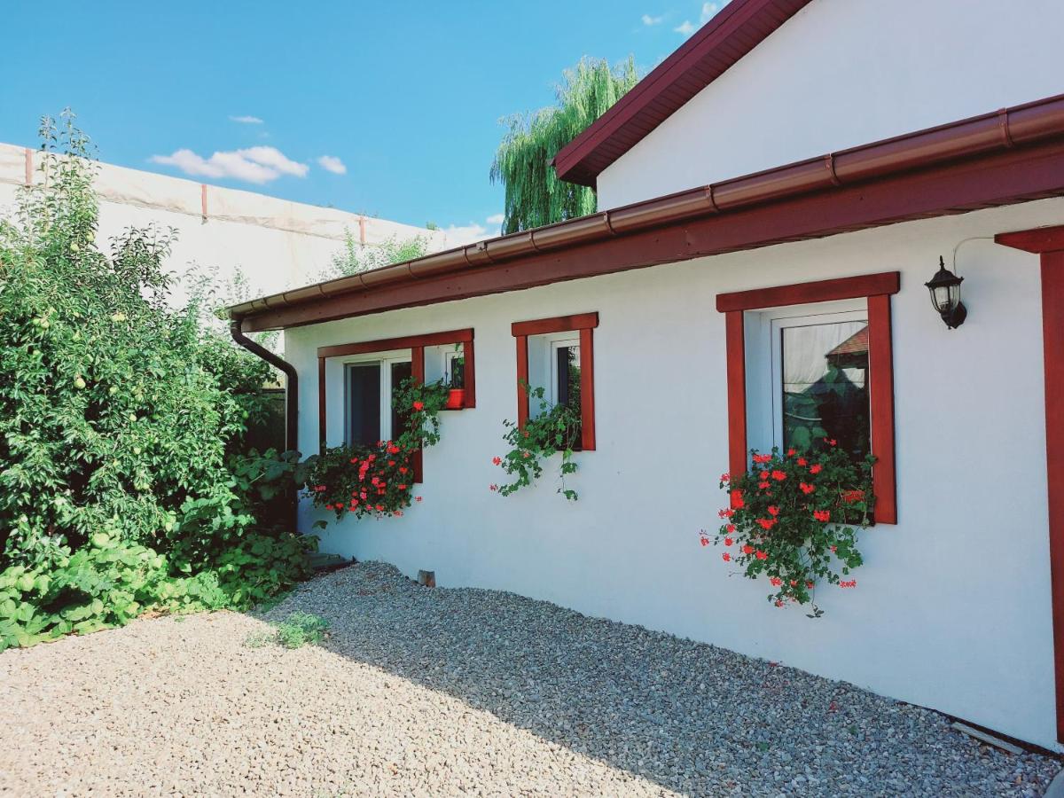 Confort INN - B&B Otopeni