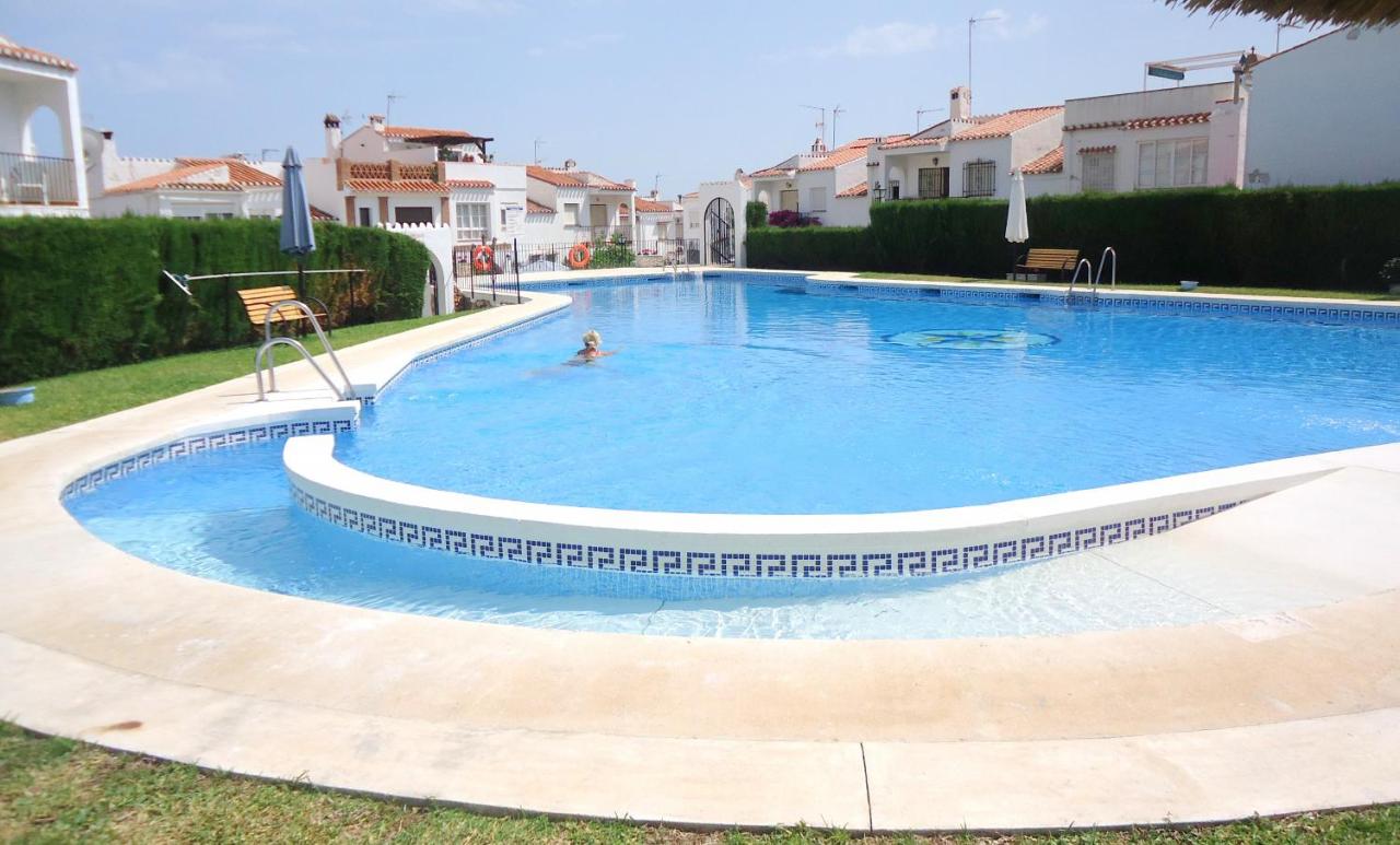 AP322 - Mirlo - B&B Nerja