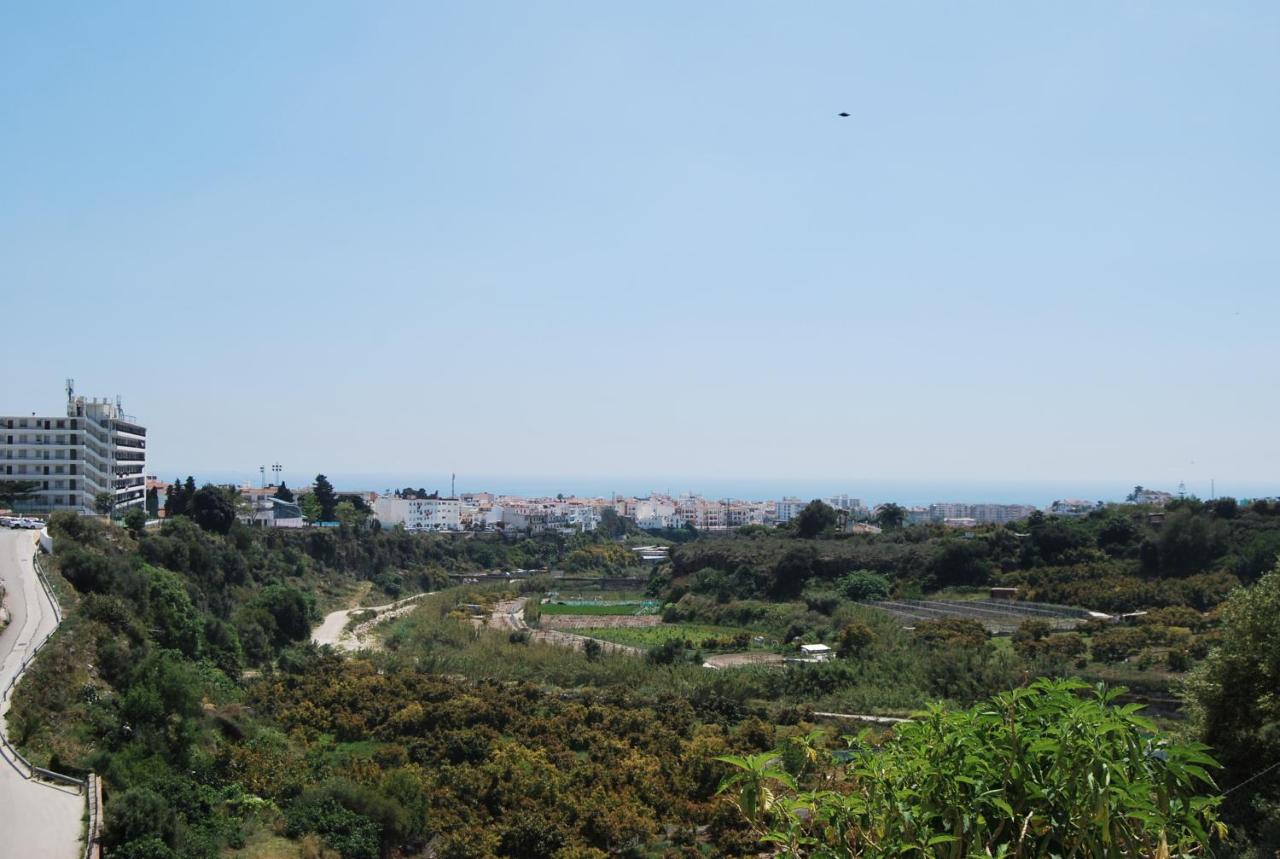 AP322 - Mirlo - B&B Nerja