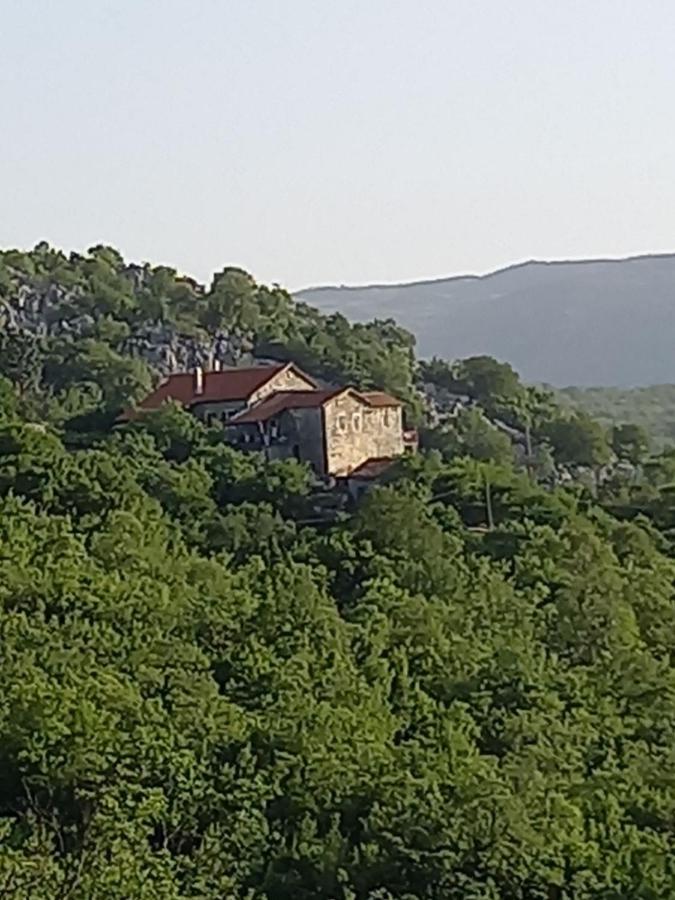 Queen’s vintage house - Ferienwohnung Podgorica