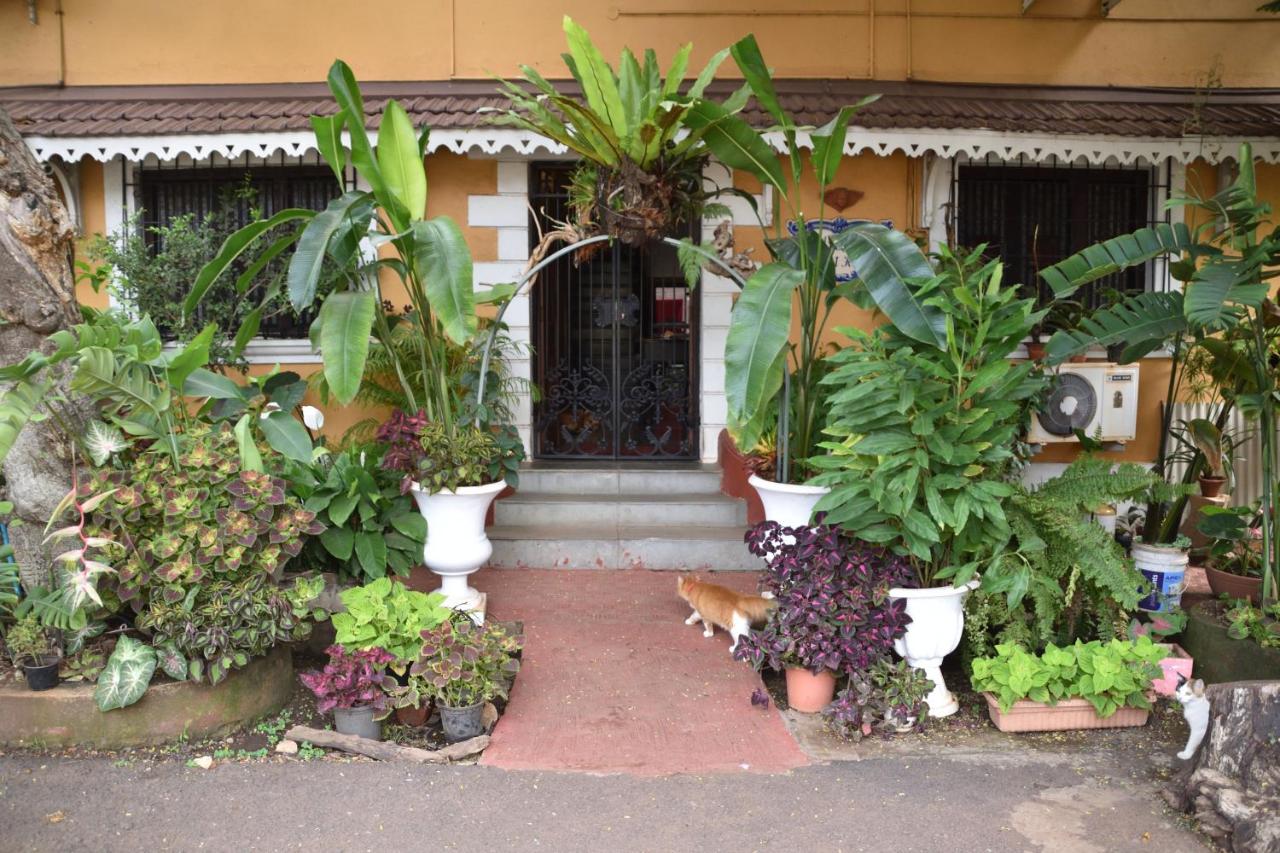 Afonso Guest House - Fontainhas - Bed and Breakfast Panaji
