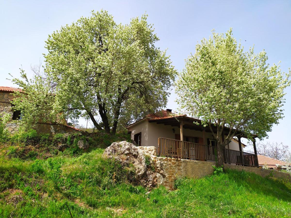 Μικρή Ζήρεια Ενοικιαζόμενη Κατοικία - B&B