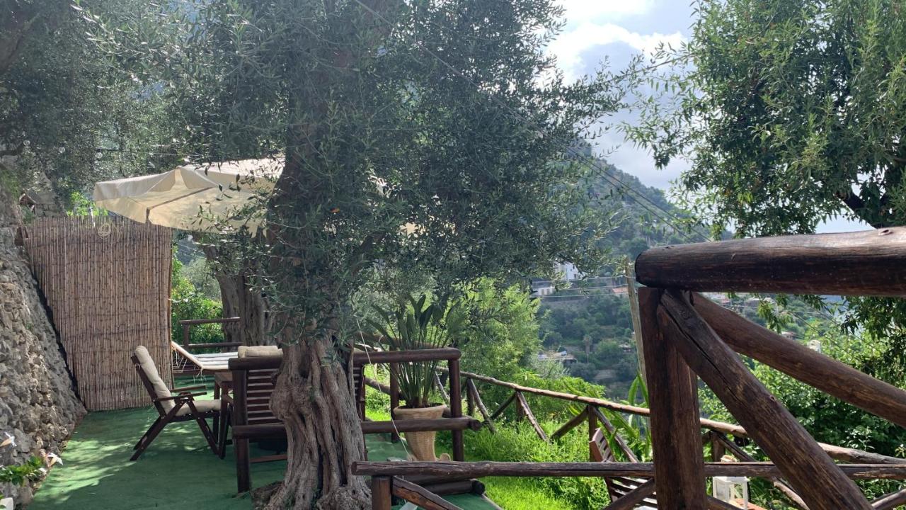Maison Don Rafe' - B&B Positano