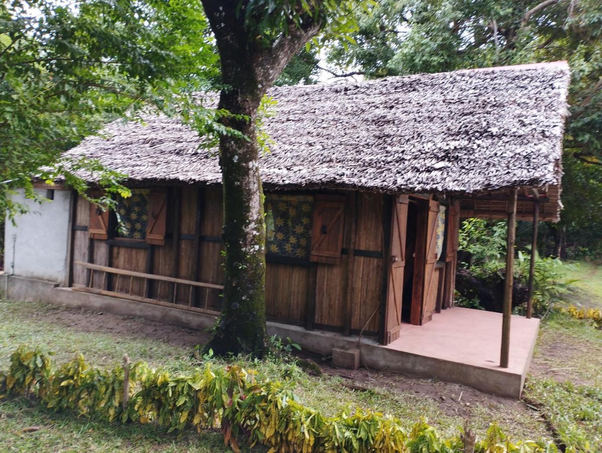 Chambres d'hôtes Villa Les Orchidées Chez Ago - Ferienwohnung