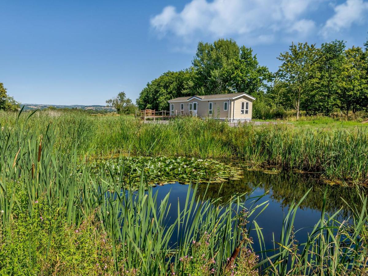 B&B West Pennard - The Lodge At Newmeads Farm - Bed and Breakfast West Pennard