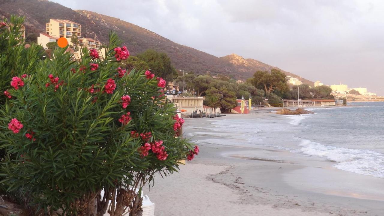 Appartement « Marinella » splendide vue mer aux Sanguinaires - Chambres d’hôtes Ajaccio