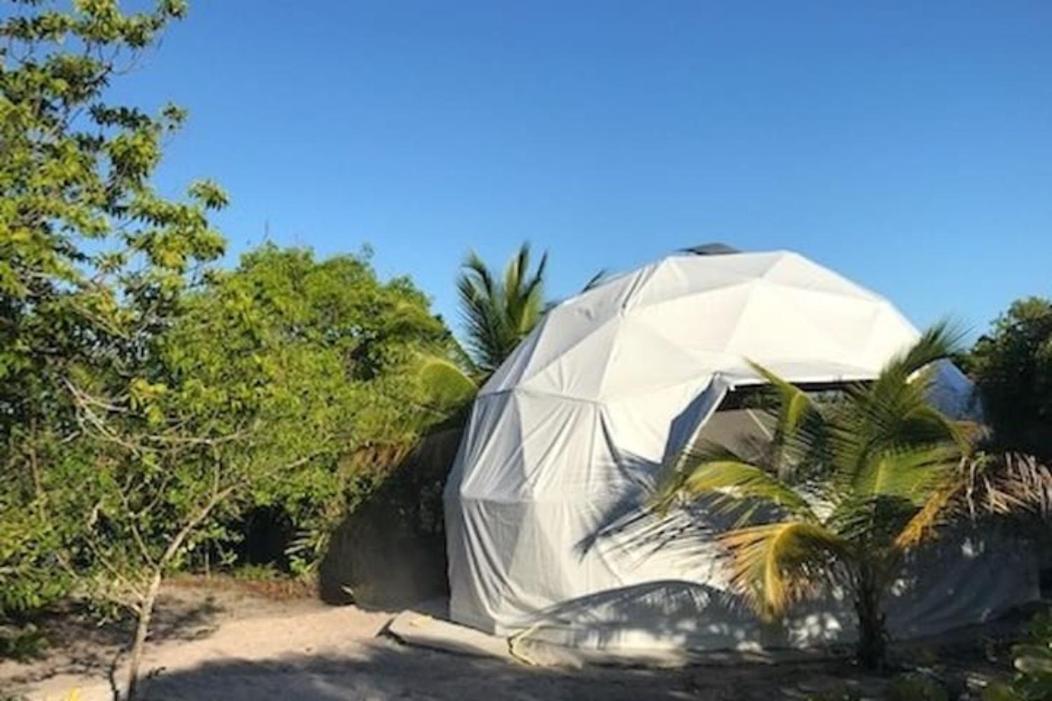 Geodesic Tent with View