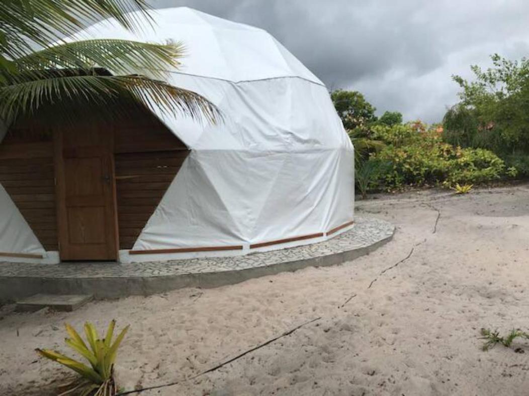 Geodesic Tent
