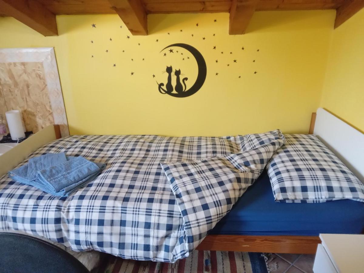 Habitación Doble - 2 camas