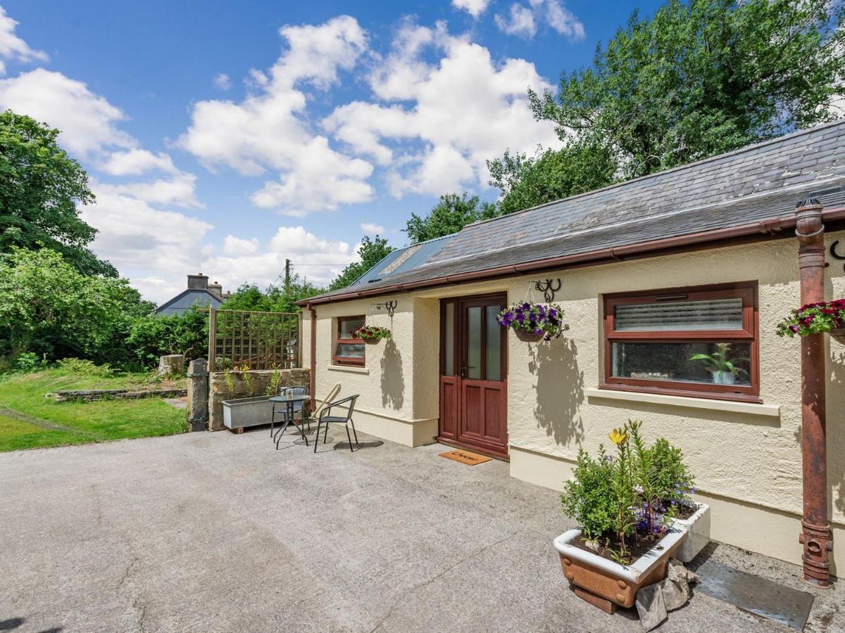 B&B Cwrt-newydd - Llanfair Hill Cottage - Bed and Breakfast Cwrt-newydd