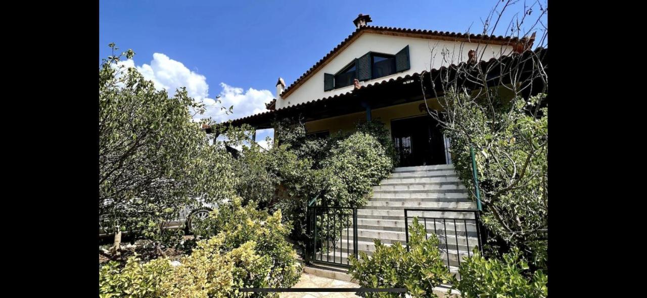 B&B Nauplie - Estate Tsiati - Κτήμα Τσιάτη - Bed and Breakfast Nauplie