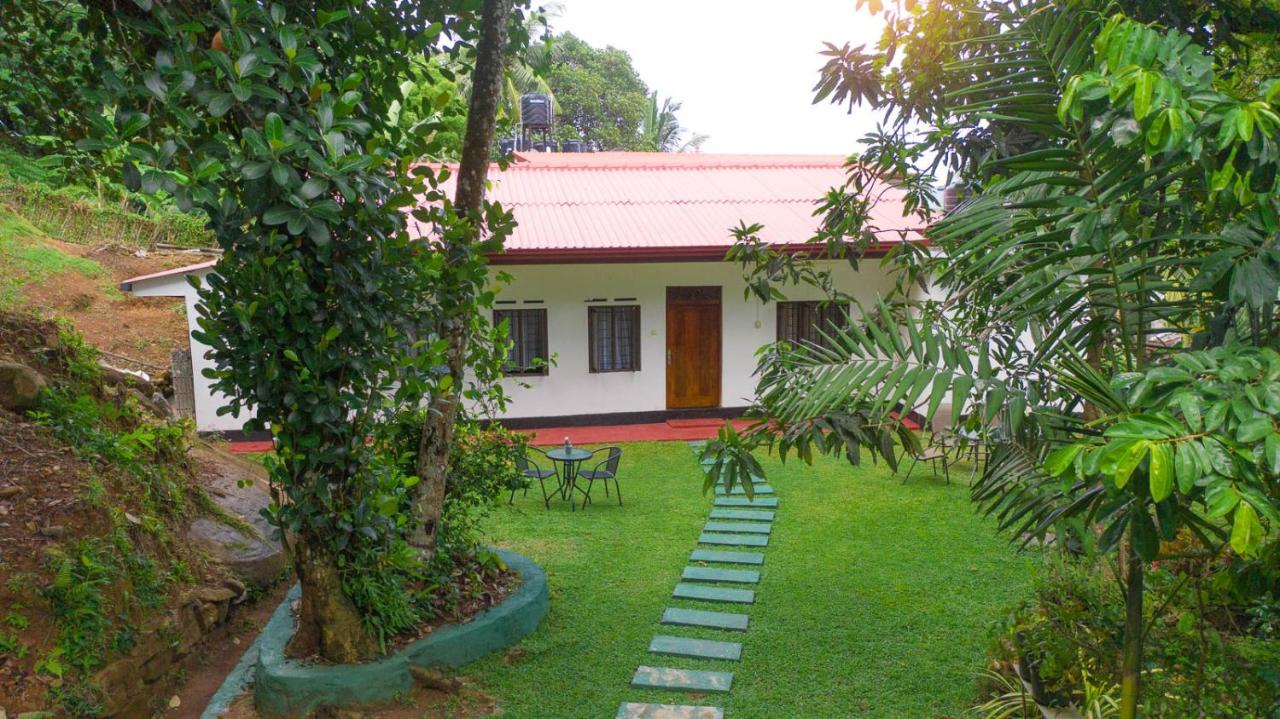 Hillview Homestay - B&B
