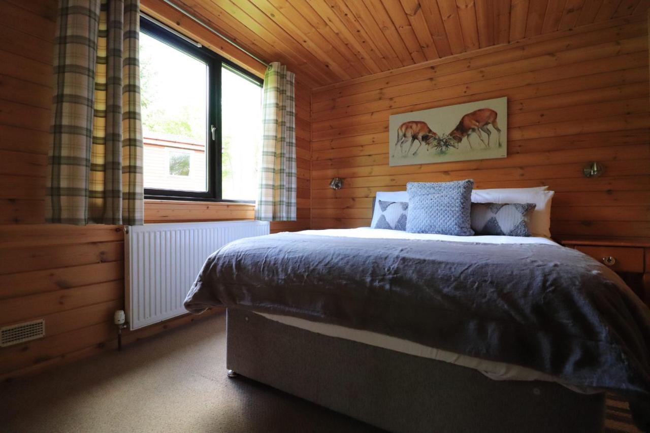 Lodge 1 (Standard) - Sleeps 4, Pet Friendly (No Hot Tub)