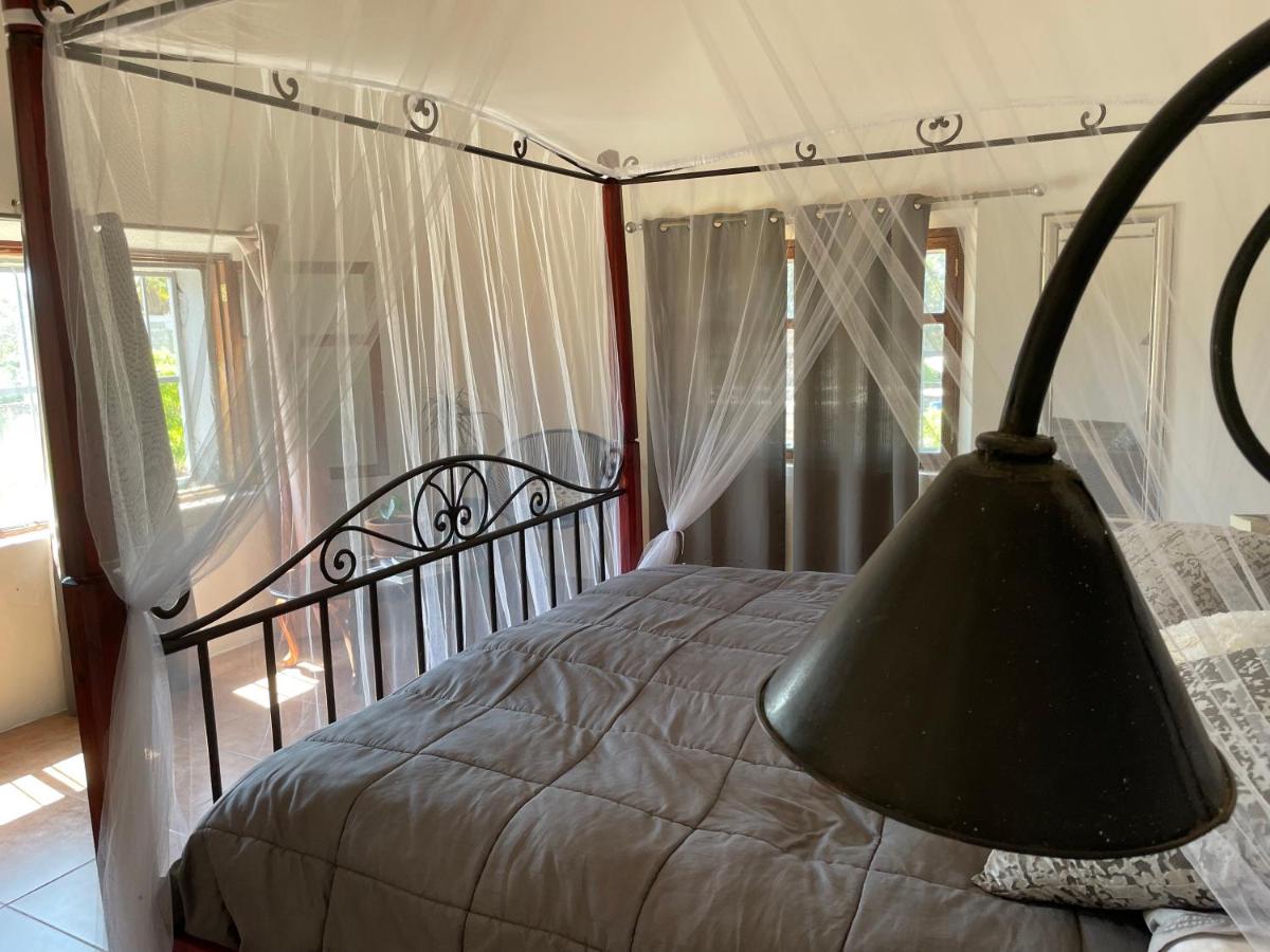 Casa Wong - B&B Todos Santos