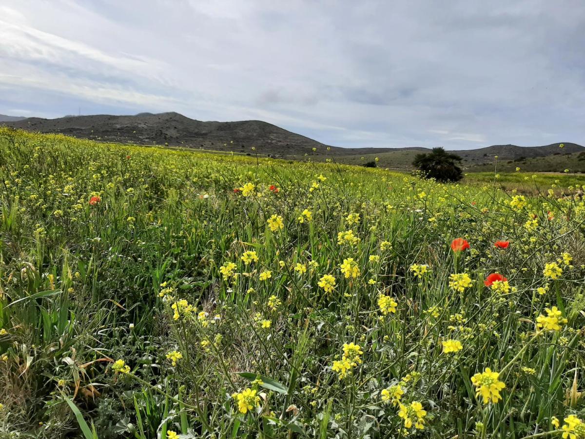 Apartamento carboneras y disfruta del LUJO del Parque Natural Cabo de Gata Nijar - Ferienwohnung Carboneras