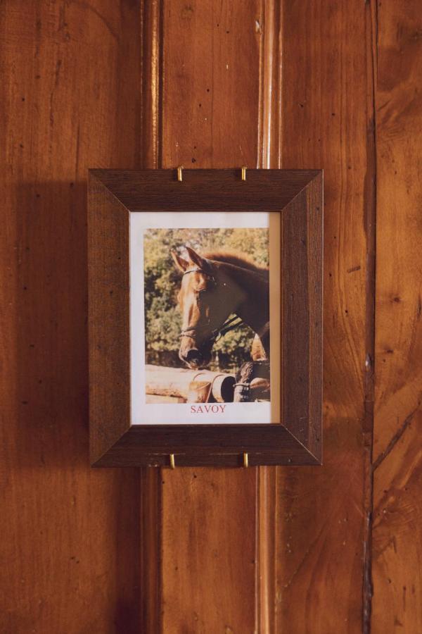 One-Bedroom Apartment (3 Adults)