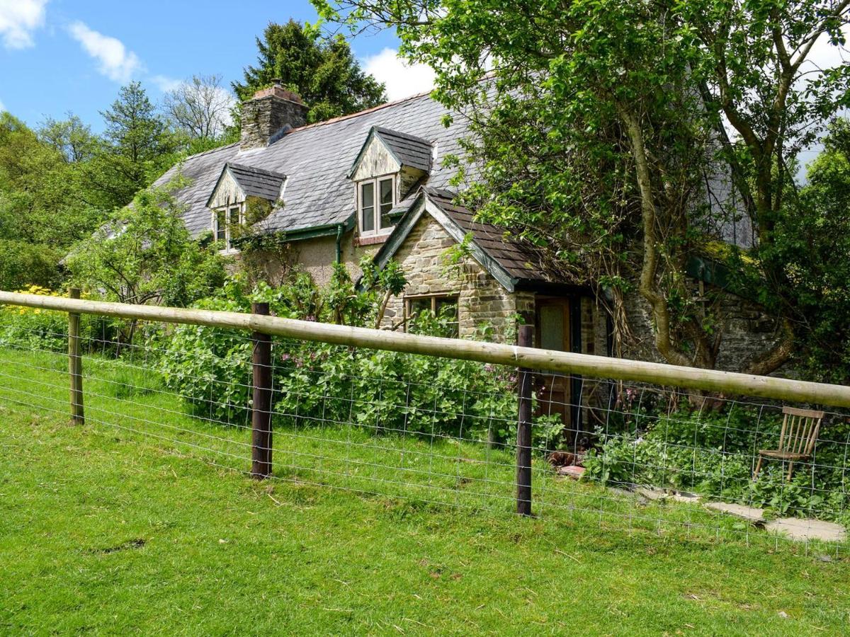 B&B Llanvair Waterdine - Lower Goytre Farmhouse - Bed and Breakfast Llanvair Waterdine