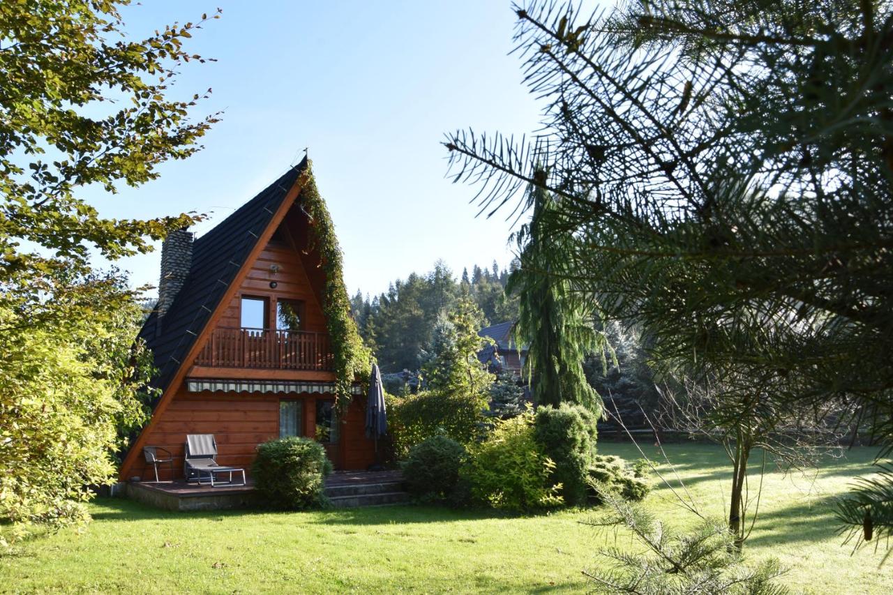 DOMKI JANOSIK - Janosik Góralski - cisza, kominek, raj dla dzieci i psów - B&B Łopuszna