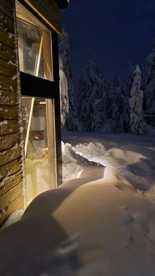 Ekornredet (The Squirrel Nest) - B&B Kongsberg