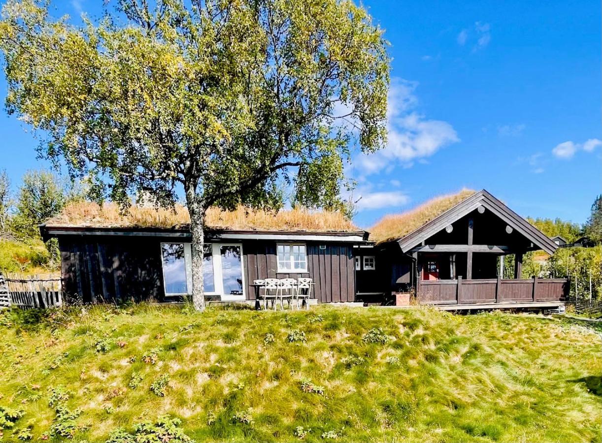Vasethytta - cabin with a lovely view - Chambres d’hôtes Brujordet