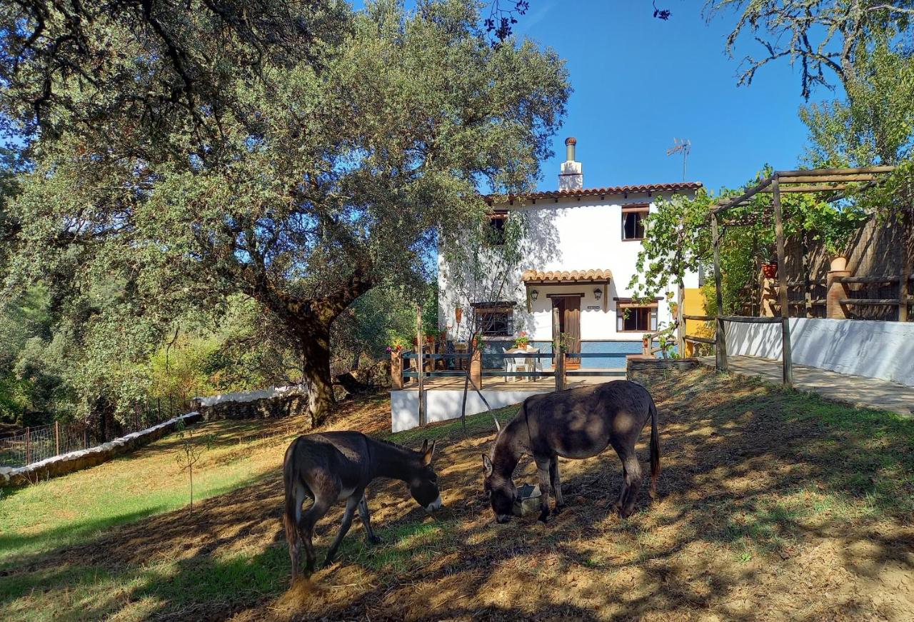 La Encina Casa Rural - Ferienwohnung
