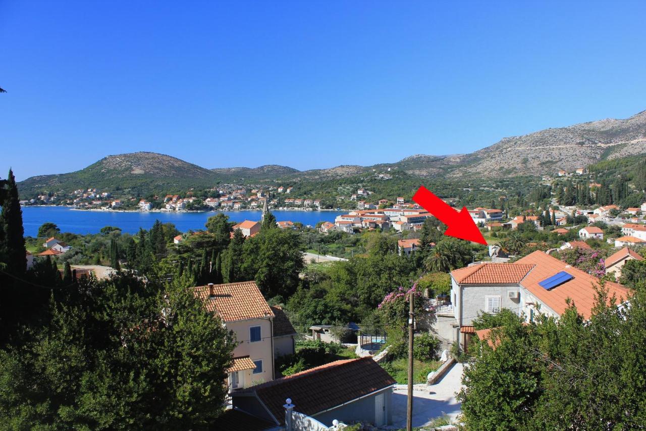 B&B Slano - Apartments with a parking space Slano, Dubrovnik - 8540 - Bed and Breakfast Slano