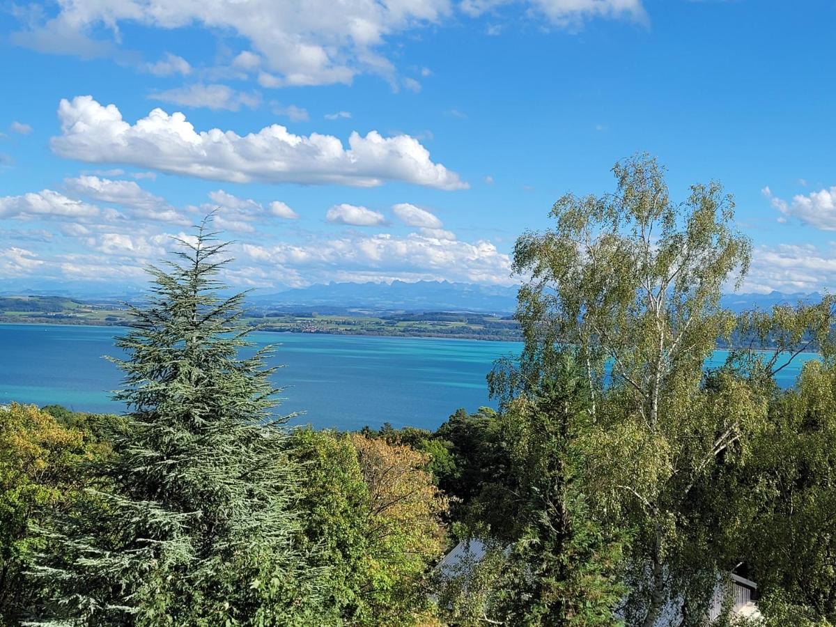 B&B Neuchâtel - 3-bedroom apartment with spectacular view - Bed and Breakfast Neuchâtel