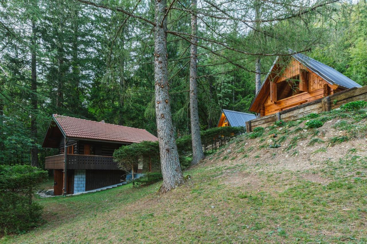 Nature escape woodhouse - Bed and Breakfast