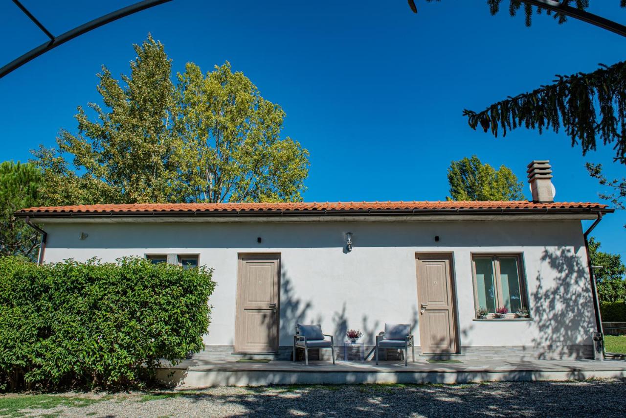 Terre Etrusche Guest House-Terme -3 minuti da Viterbo centro - B&B Viterbo