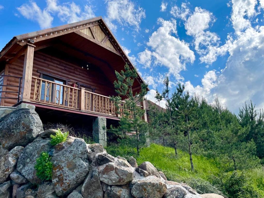 Twin Room with Terrace