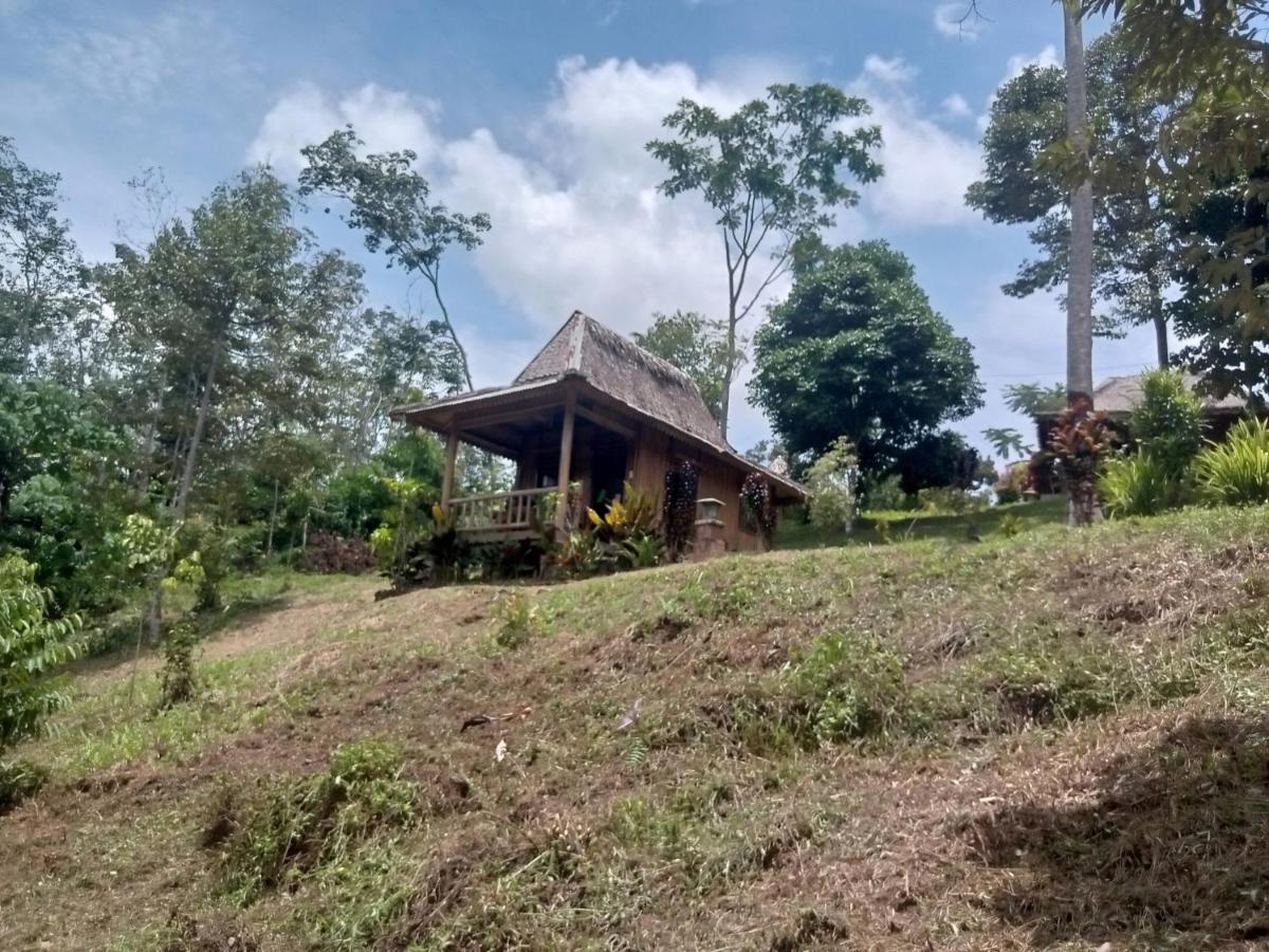 Orangutan Bungalow - B&B