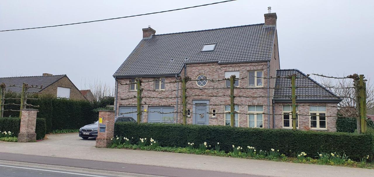 WanT Logies: Ruime loft - B&B