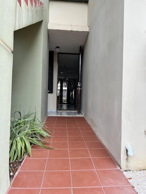Entire Beach Apartment with view to El Yunque National Rain Forest - B&B