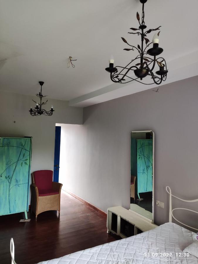 Gusthouse Shekvetili AE - Bed and Breakfast