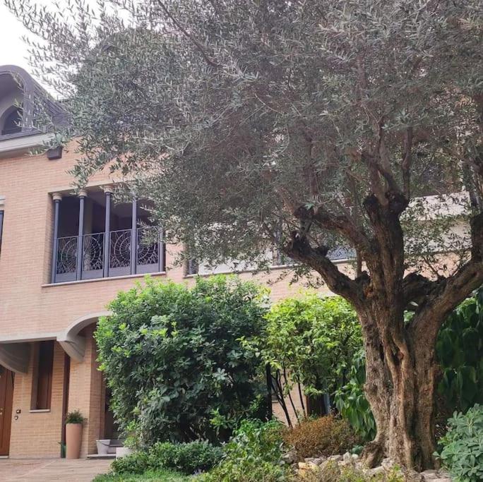 Prestigioso appartamento di 70mq vicino Milano - B&B Legnano