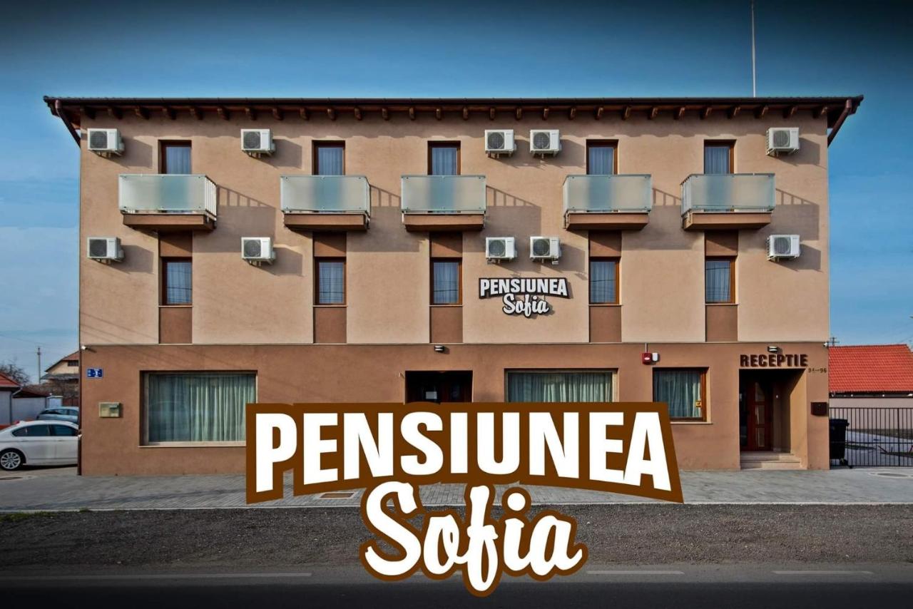 Pensiunea Sofia - B&B
