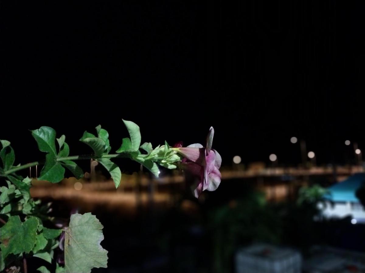 johnny's studio - Chambres d’hôtes Grand Baie