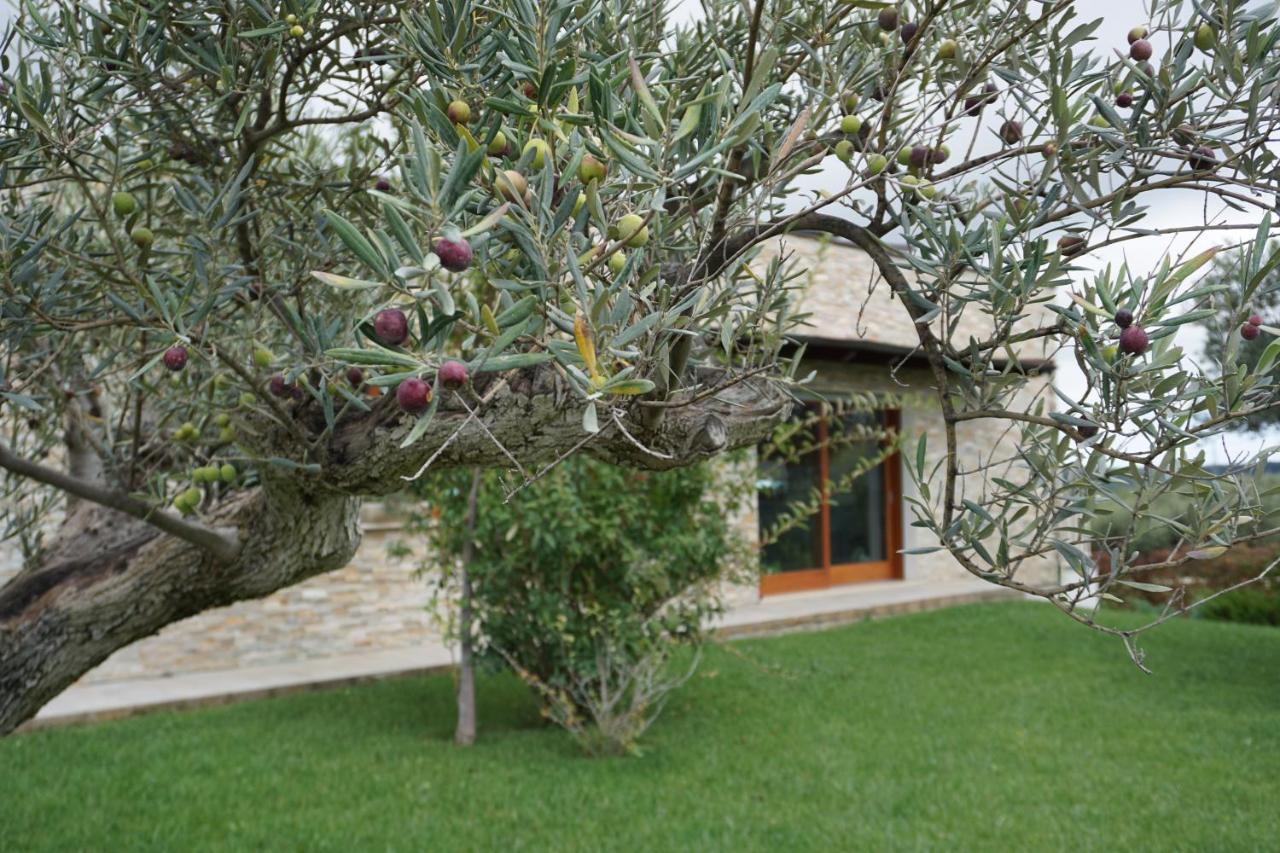 Gioia In Collina - B&B