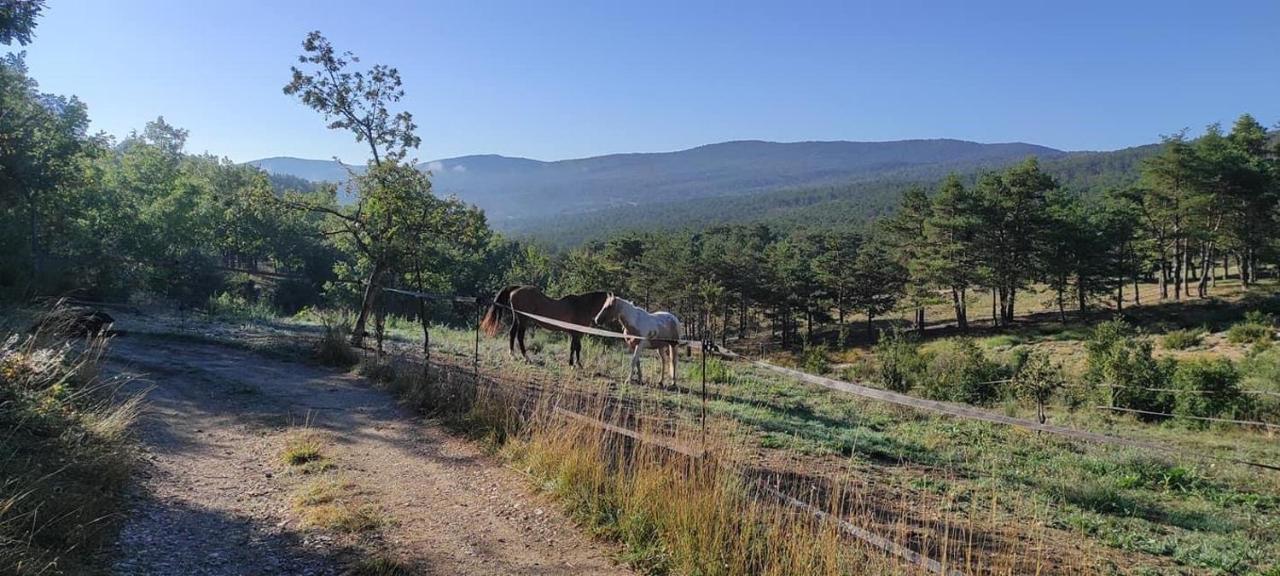 B&B Trigance - Appartement avec terrasse dans un domaine agricole - Bed and Breakfast Trigance