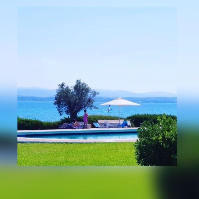 Architect designed house with pool and private beach - B&B