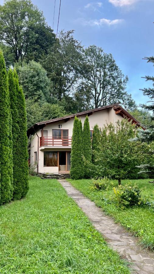 AMK House - Busteni 2 - Ferienwohnung Buşteni