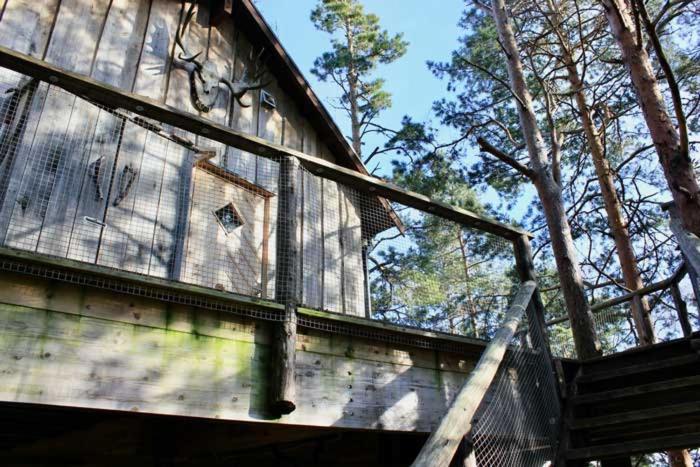 Tretopphytter På Grensen - Elghytta med robåt og gjeddefiske - Chambres d'hôtes Halden
