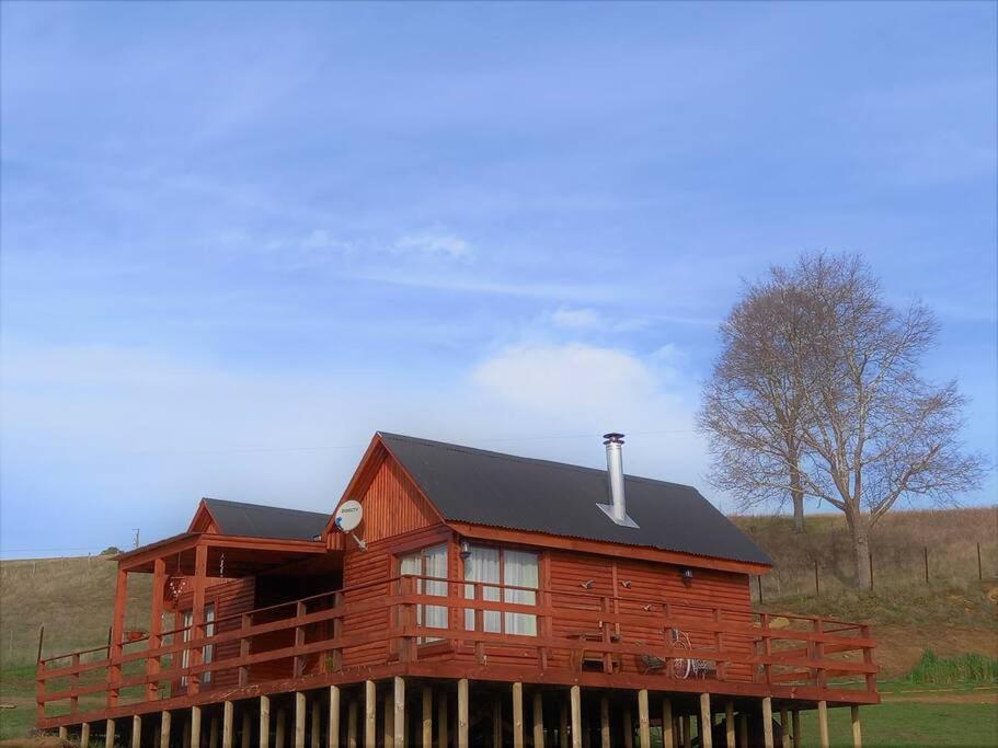 Eco Brújula - B&B