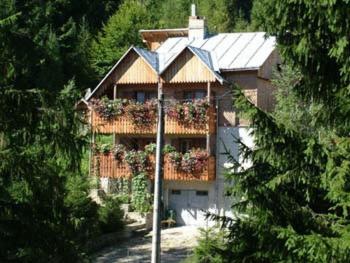 Villa Doina - B&B