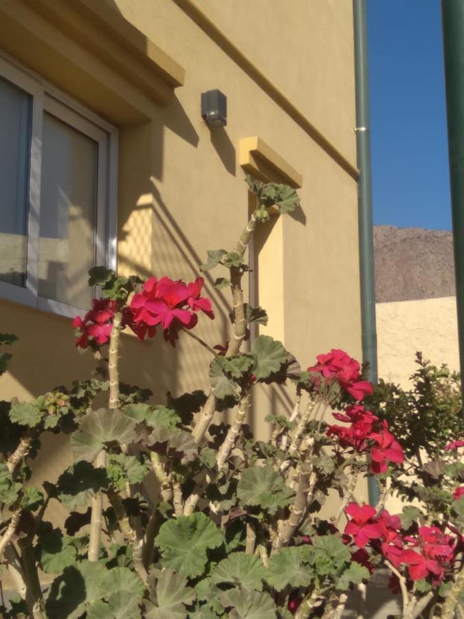 Departamentos PASEO DE LAS VIÑAS, CAFAYATE - B&B Cafayate