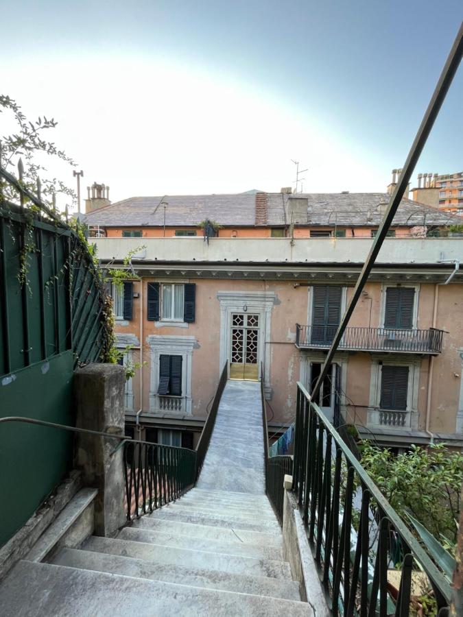 L'ulivo e il colibrì - B&B